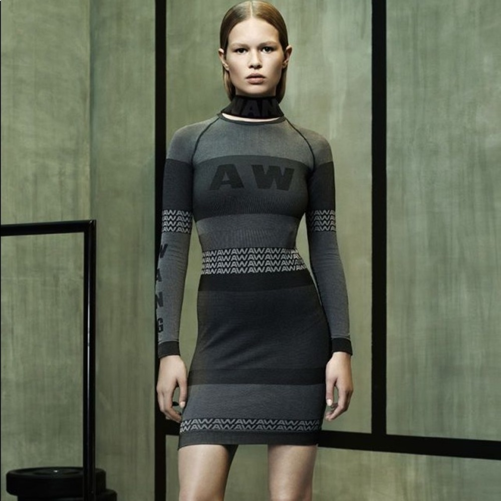 Alexander Wang x H&M Dress